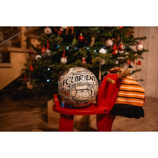 Ballon t5 rebond 2.0