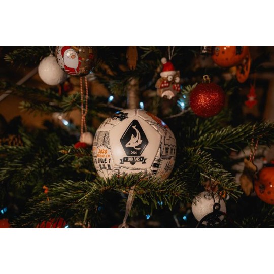 Ballon t1 rebond 1.0